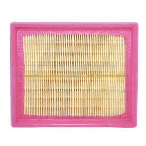 Filtro Aire Peugeot  206 1.4 1.6 Stp 20360
