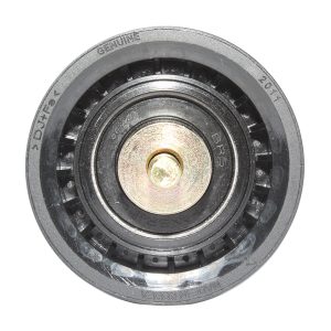 Tensor Rodillo Ssangyong Actyon/rexton 06/11 Correa Pk Alt Seco