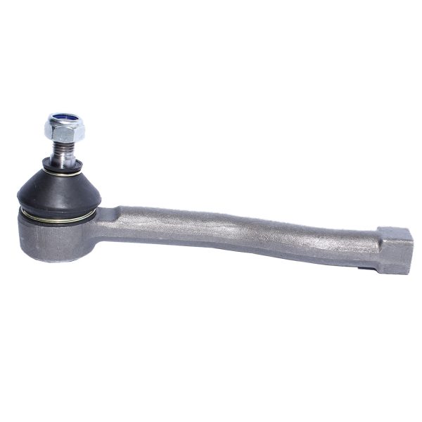 Term Dir Chv Vivant 04/ Lh Wurtex