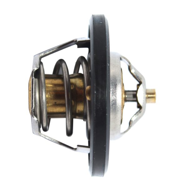 Termostato Dw Racer/heaven/pointer 87ª Echlin